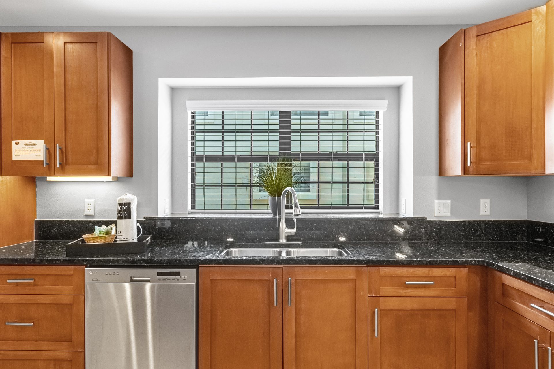 Undermount sink beneath window with garden view